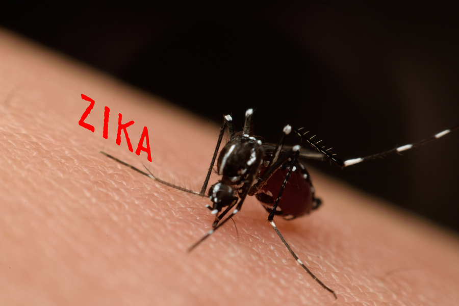 FDA Calls for Zika Testing of All Donor Blood