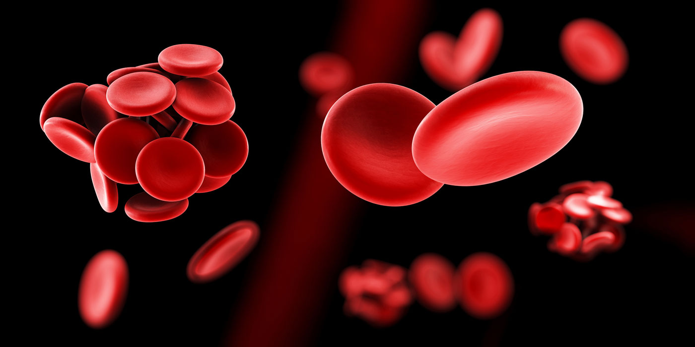 Tall Men and Women At Risk for Deadly Blood Clots